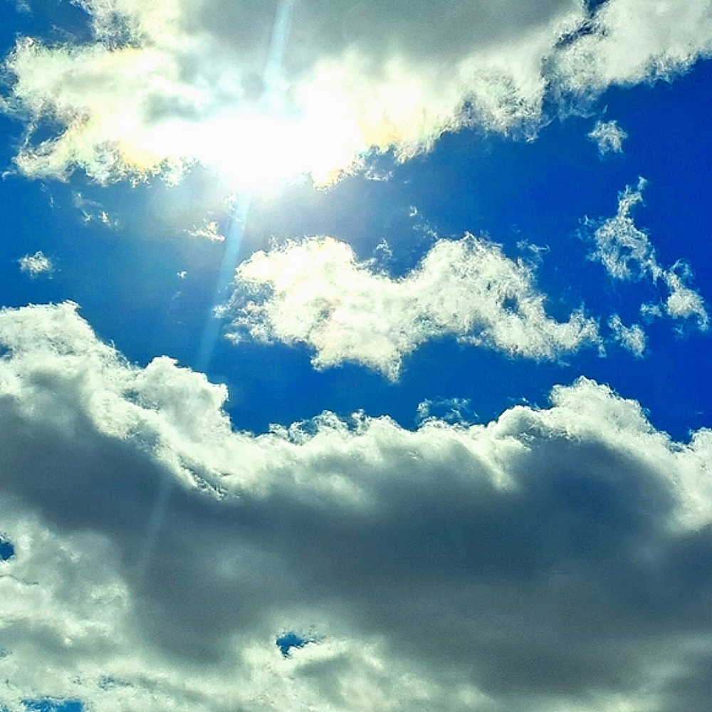 Meet your Posher, KC